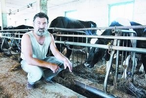 Krzysztof Pogorzelski, hodowca bydła z Roszków Ziemaków, ocenia, że z pierwszego pokosu zbierze o 30 proc. mniej paszy