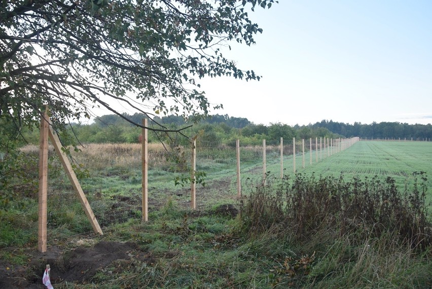 Tuż pod Stargardem wybudują park handlowo-usługowy. Inwestycja za 47 mln zł. Ogrodzili już teren ZDJĘCIA 