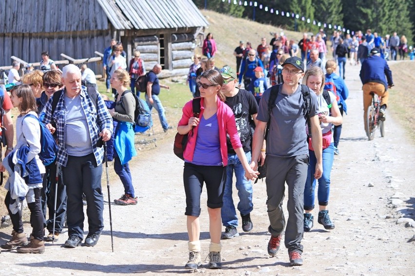 "Nigdy więcej na krokusy do Doliny Chochołowskiej". Polacy dali popis kultury