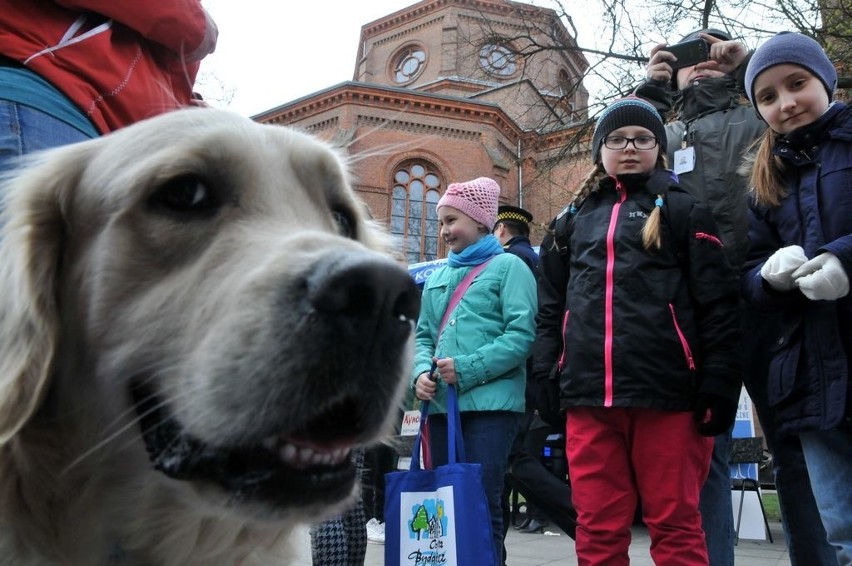 Na Placu Wolności pojawili się m.in. podopieczni Przedszkola...