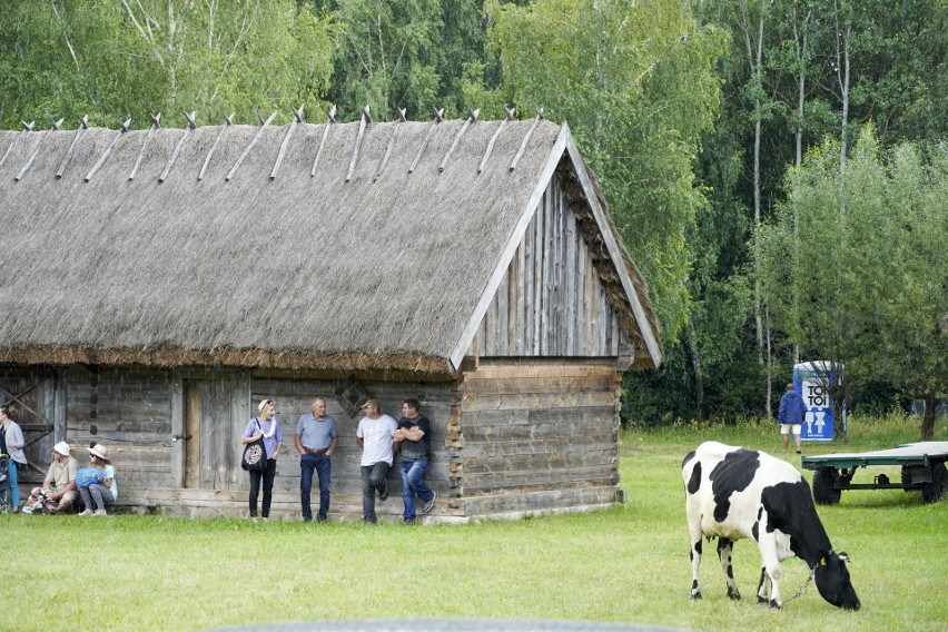 Regionalne przysmaki, rękodzieła i warsztaty na terenie...