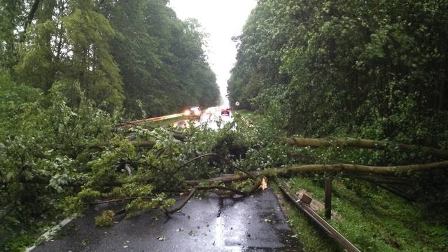 25 interwencji do ok. godz. 17 zanotowali grudziądzcy strażacy.