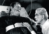 Śląski rodowód Frankensteina [HISTORIA DZ]