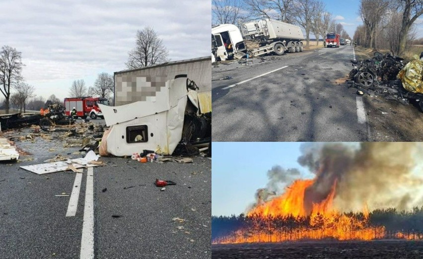 Marzec upłynął pod znakiem tragicznych pożarów. Płonęły...