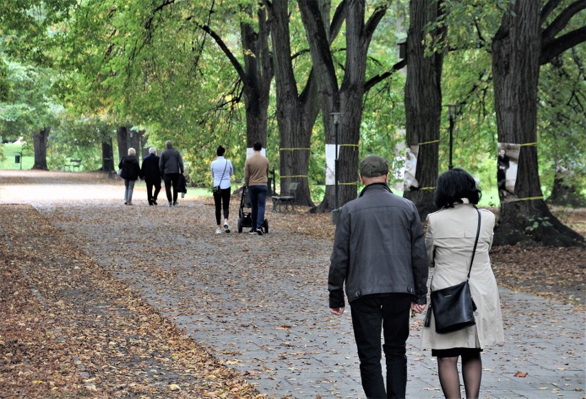 Park Miejski w Zamościu