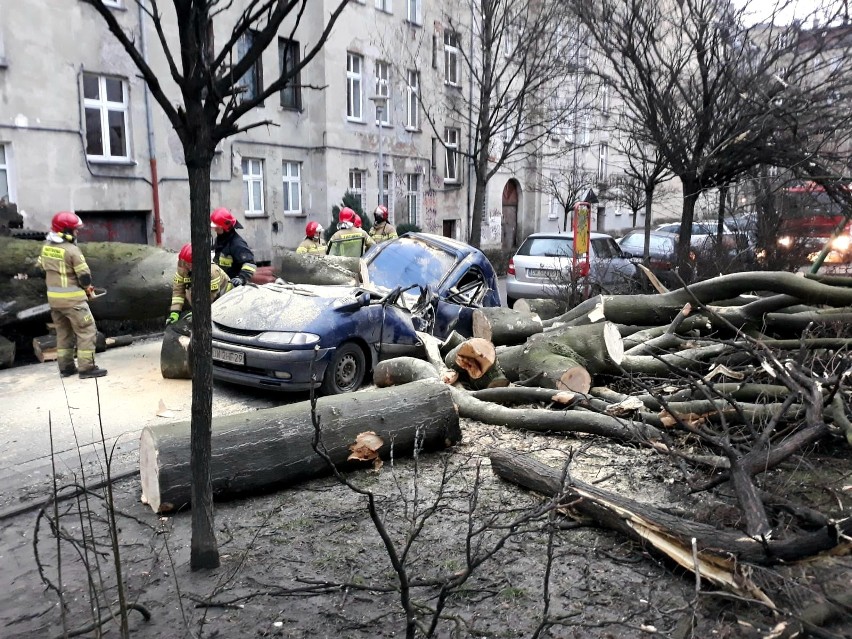 20-metrowe drzewo przewróciło się w podwórku przy ul....