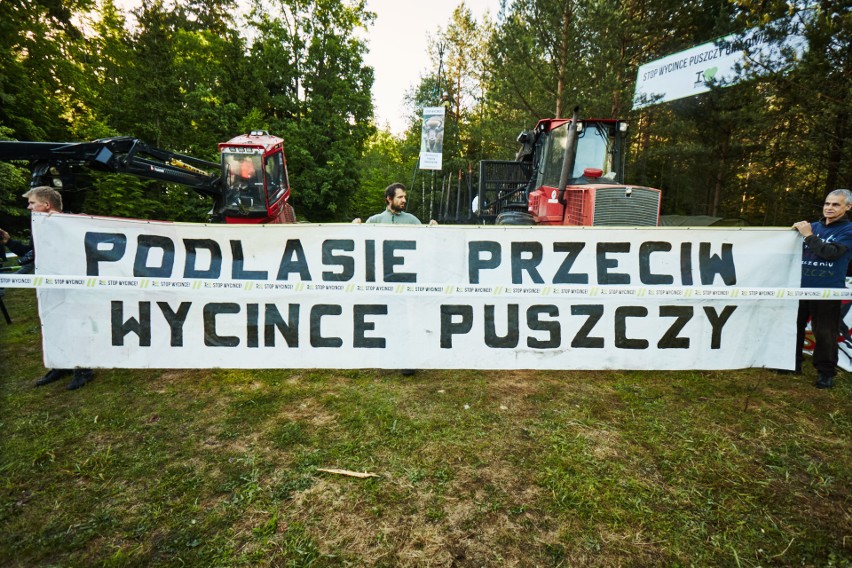 Blokada wycinki drzew w Puszczy Białowieskiej