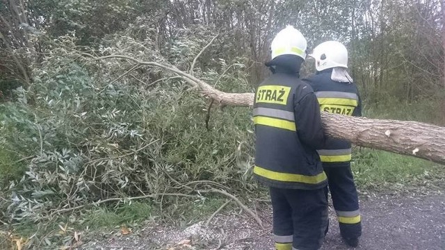 Straż Pożarna w regionie koszalińskim miała pełne ręce roboty. Powód - porywisty wiatr.