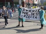 Protesowali przeciw testom na zwierzętach [zdjęcia, film]