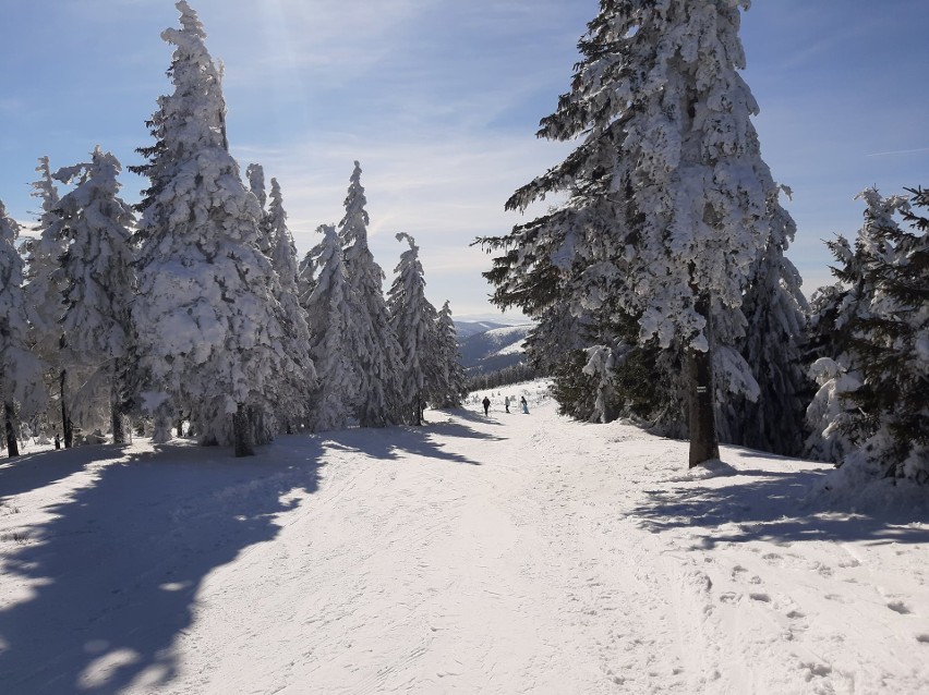 Tłumy turystów w Beskidach: piękna pogoda i świetne warunki na narty. Zobaczcie, jakie i gdzie
