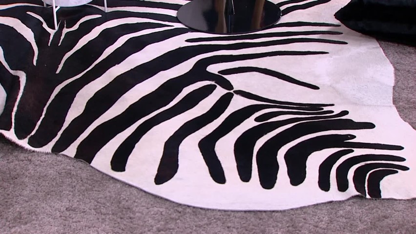 Zebra jako dodatek do czarno-białego wnętrza...