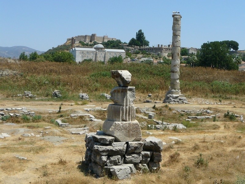 Resztki świątyni Artemidy w Efezie.