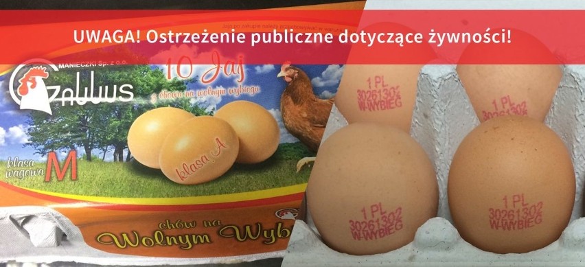 Jajka dużego producenta wycofywane są ze sklepów. Kontrola...