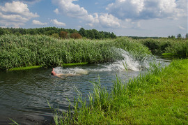 Rzeka Świsłocz