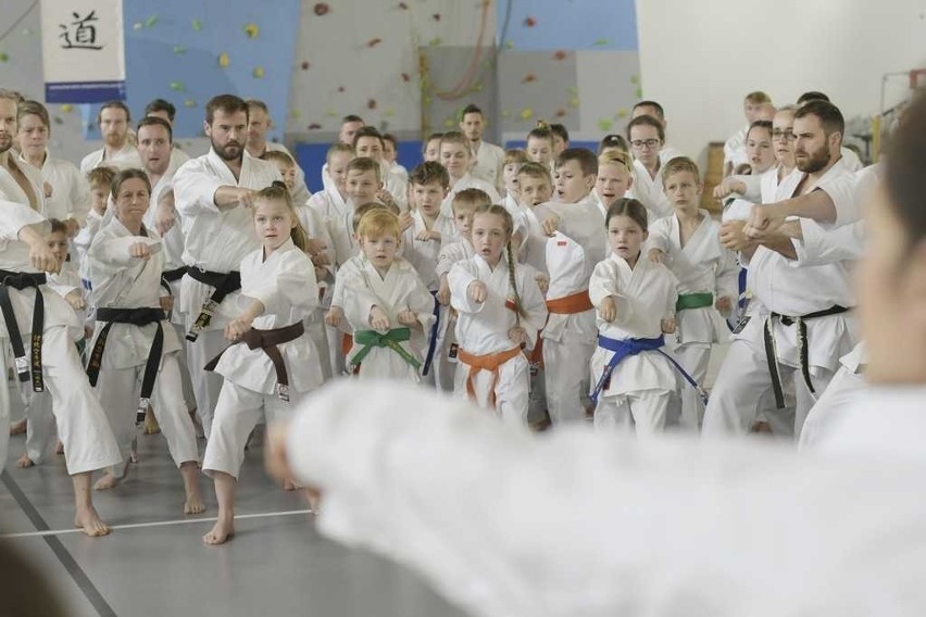 Legendy karate tradycyjnego w Niepołomicach. Ponad 200 zawodników z 14 krajów [ZDJĘCIA]