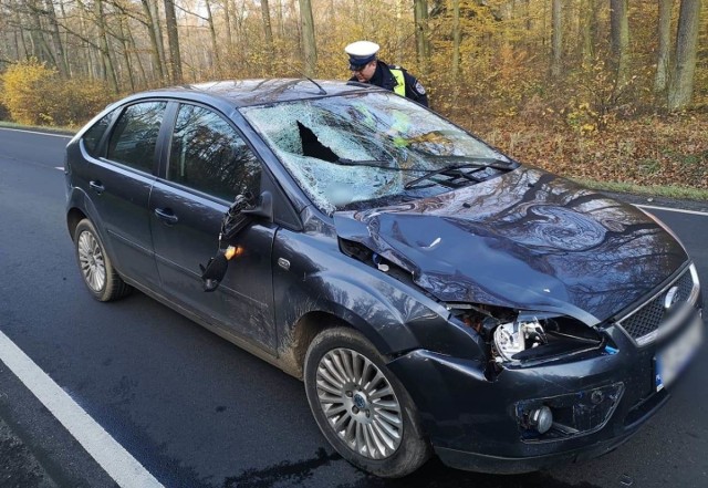 Do tragicznego wypadku doszło po godz. 6 rano. Drogą między Lesznem a Kąkolewem jechała 30-latka z gminy Osieczna. Prowadziła forda focusa.  Przejdź do kolejnego zdjęcia --->