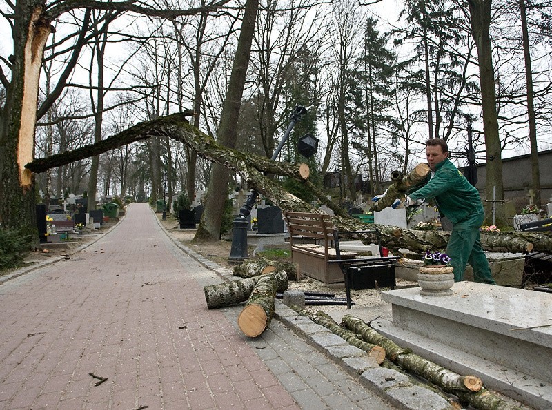 Drzewo zniszczyło groby na słupskim cmentarzu