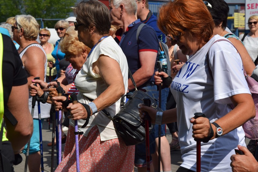 Marsz nordic walking w Zawierciu