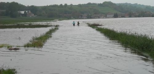 Dziesięć lat temu, w maju 2010 roku miała miejsce wielka...