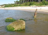 Plaże w Czołpinie znowu są otwarte. 