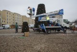 Bożonarodzeniowa choinka stanęła na starym rynku w Słupsku (wideo, zdjęcia)