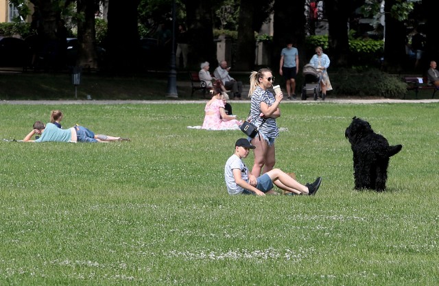 Czy w ten weekend Szczecinianie wyjdą na spacery bez parasola?