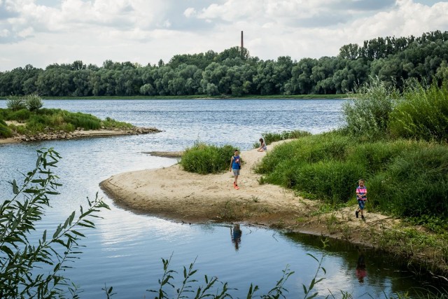 Prognoza pogody na lipiec 2020. Jaki będzie? Słoneczny czy deszczowy i burzowy? [pogoda długoterminowa]