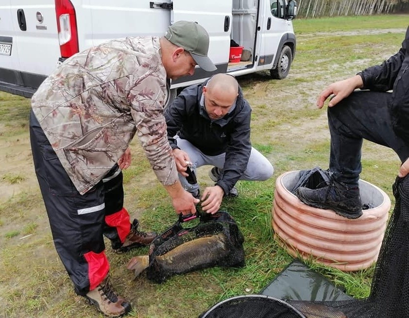 Zawody wędkarskie w Gorzycach. W sumie złowiono prawie 340 kilogramów ryb! (ZDJĘCIA)