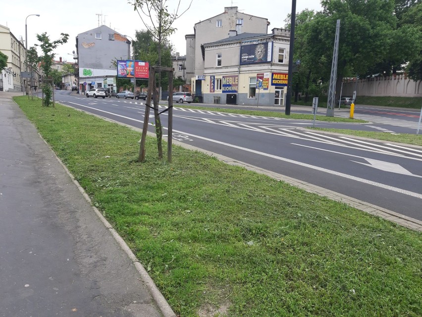 Kwietna łąka na ul. Bernardyńskiej w Lublinie skoszona. Ratusz: Jest w innych miejscach. Zobacz zdjęcia