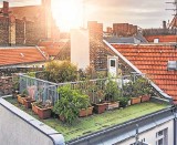 Ogród na dachu. Jak wykonać podniebną oazę zieleni