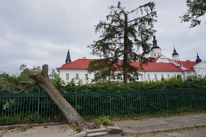 Powyrywane z korzeniami drzewa. Tak wyglądał miejski park po...