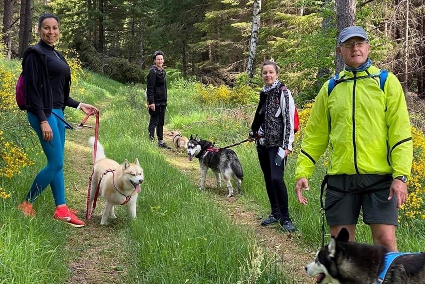 II Dogtrekking ze Stowarzyszeniem Kierunek Polanów [ZDJĘCIA]