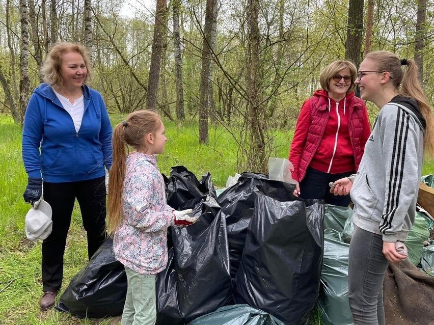 Wolontariusze pomagają Nadleśnictwu Międzyrzecz uczynić...