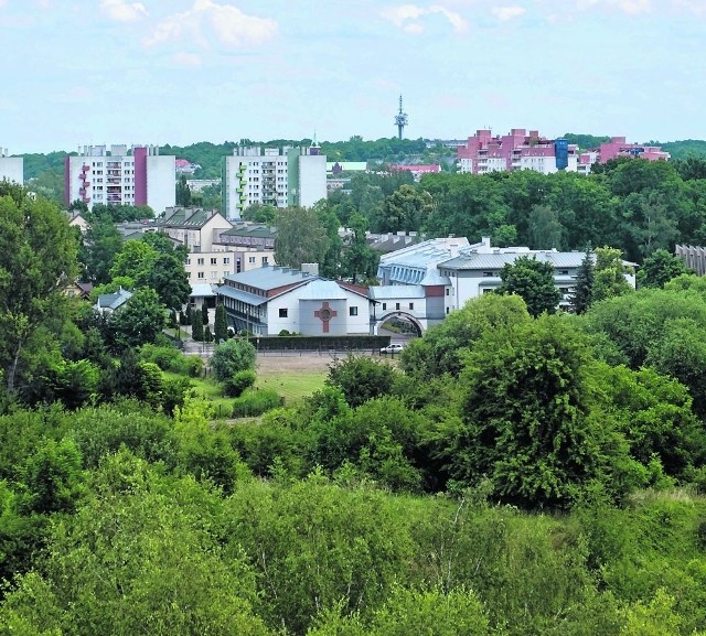 Ekolodzy wytykają, że studium pozwala na zabudowę terenów zielonych m.in. na Zakrzówku