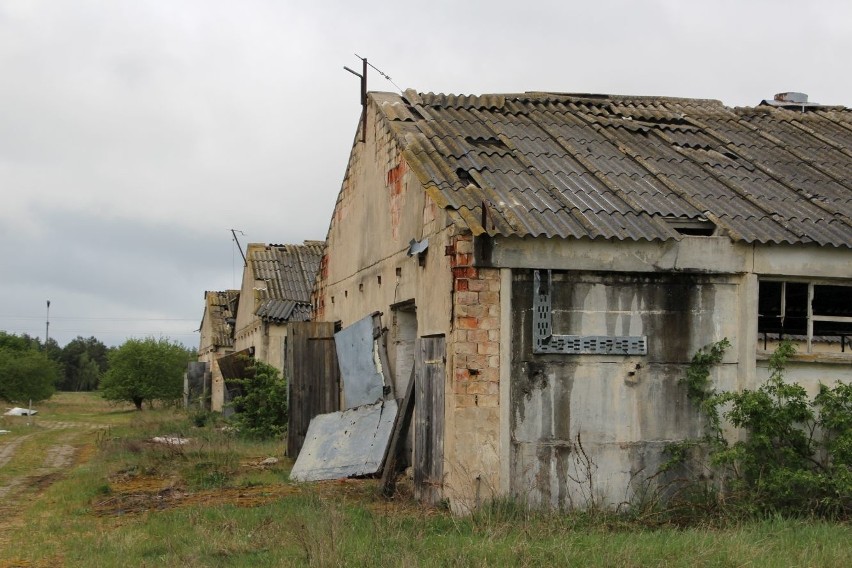 Grądy Woniecko - PGR Wizna. Z jednego z największych PGR-ów w kraju zostały ruiny. Zobacz zdjęcia