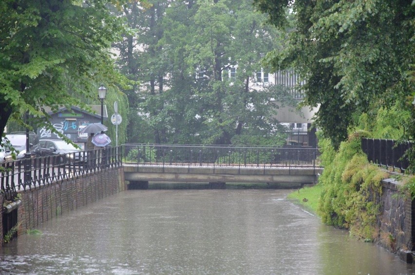 Gdańsk. Wysoki poziom wody w Raduni [ZDJĘCIA]