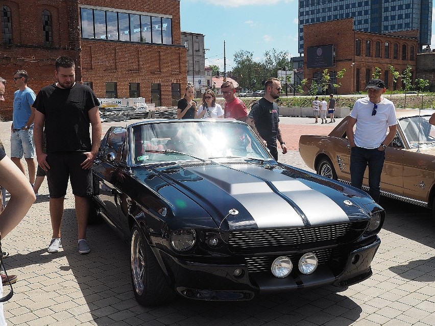 Mustangi przyjechały do Łodzi. Zobacz jak wyglądają auta z lat sześćdziesiątych