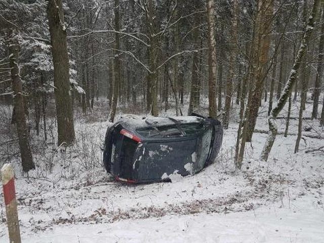 Trasa Białowieża - Hajnówka, około godziny 11