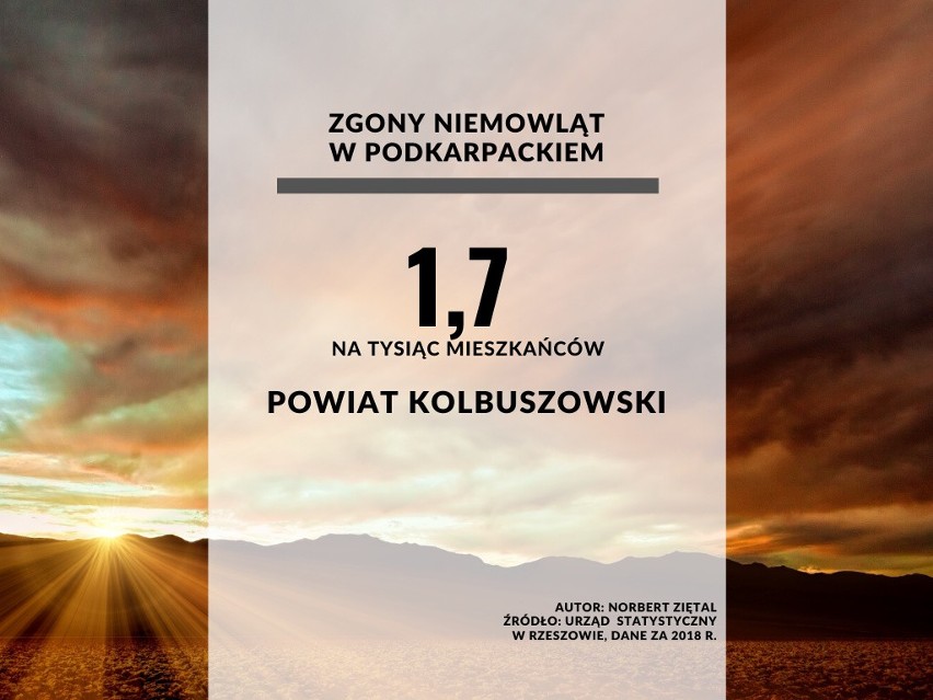 23. miejsce - powiat kolbuszowski....