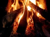 Czaplinek: Zabrakło im drewna na ognisko więc spalili meble z domków letniskowych