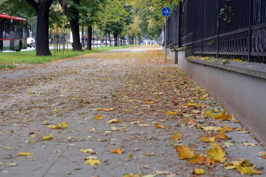 Lublin. Liście na chodnikach i ścieżkach rowerowych stwarzają zagrożenie. - Zostaną posprzątane w najbliższym czasie - zapewnia ratusz