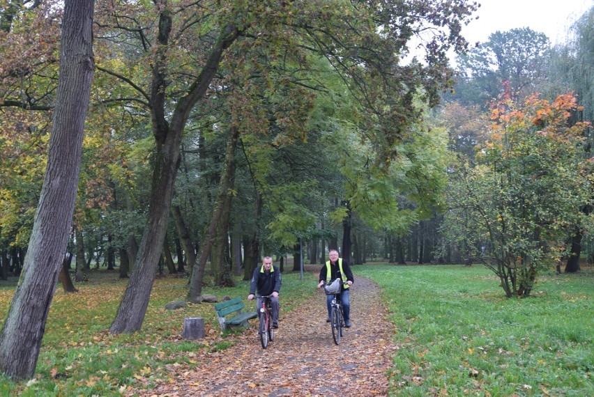 Jesień w stargardzkich parkach