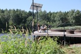 Odnowiony Starganiec na granicy Mikołowa i Katowic przyciąga turystów. Tak wygląda to popularne miejsce podczas ostatnich dni wakacji WIDEO
