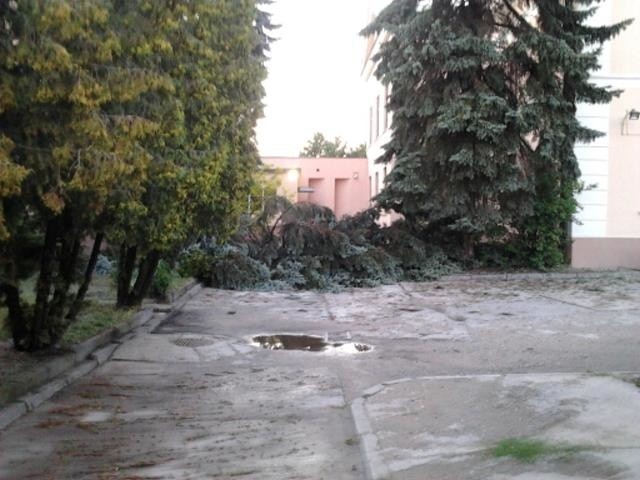 Gwałtowne burze przeszły nad Łódzkiem: brak prądu, zniszczone budynki, powalone drzewa [ZDJĘCIA]