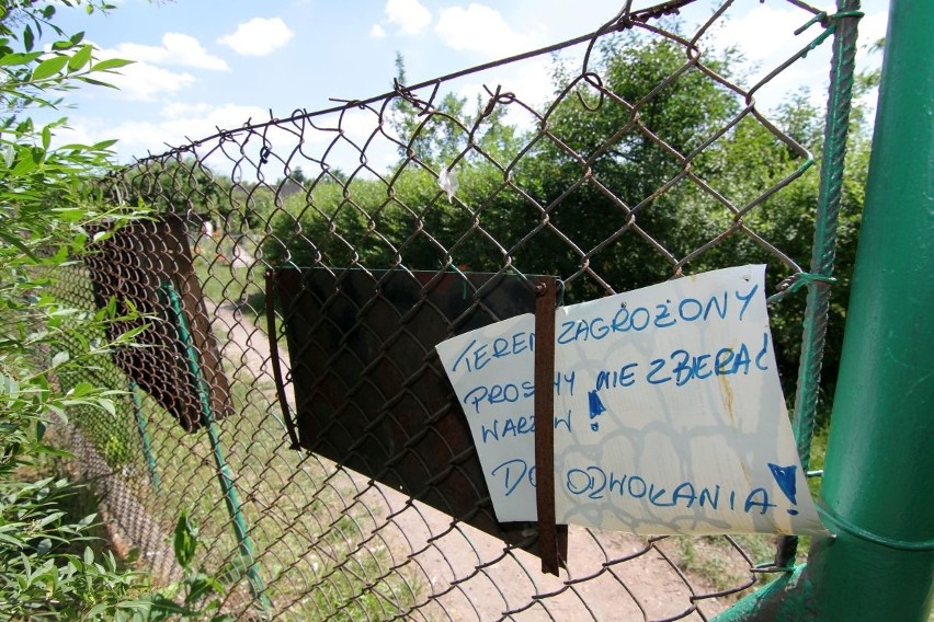 Skażona ziemia na Psim Polu. Na działki wjechały buldożery (FILM, ZDJĘCIA)