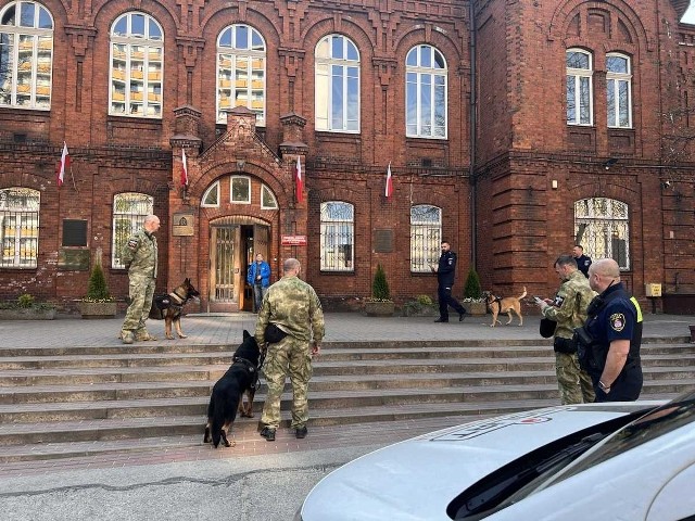 Trzyosobowe zespoły złożone z policjanta, strażnika miejskiego oraz pracownika ochrony ze specjalnie przeszkolonym psem do wykrywania materiałów wybuchowych prowadzą od kilku dni rozpoznanie pirotechniczne w radomskich szkołach.