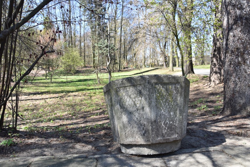 Urząd Miasta w Tarnowskich Górach planuje wycinkę ponad 900...