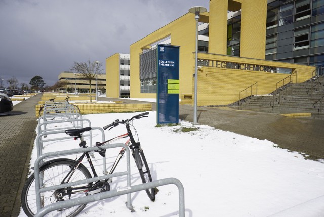 Kampus Morasko w śniegu. Zobacz zdjęcia ->