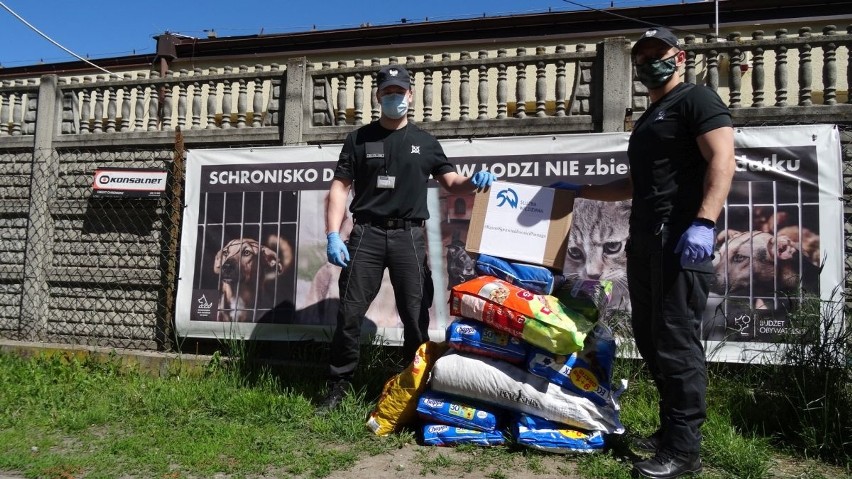 Funkcjonariusze służby więziennej zebrali 150 kg karmy dla bezdomnych czworonogów ze schroniska przy ul. Marmurowej