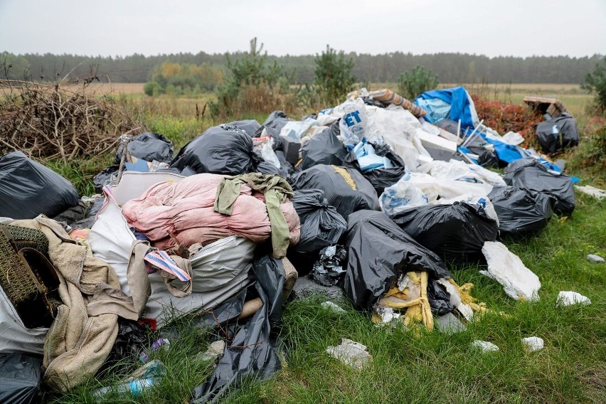 Tak wyglądają śmieci leżące w lesie nieopodal Barszczewa.